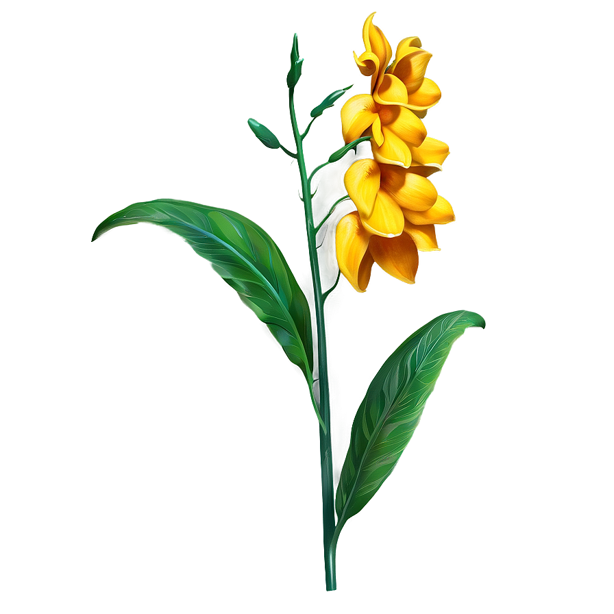 Flower Stem A PNG