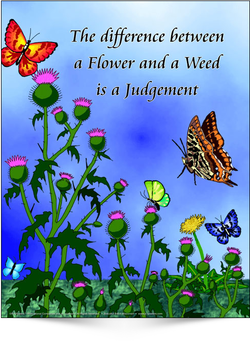 Flower Weed Judgement Quote PNG