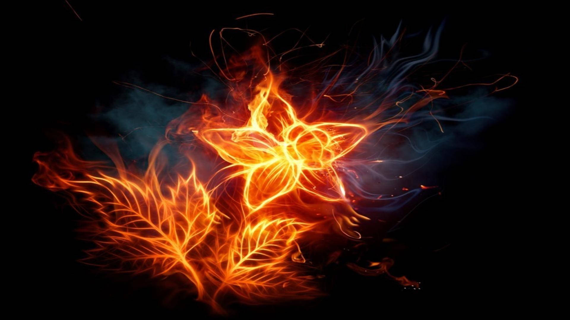 Flower With Leaves Fire Background Wallpaper