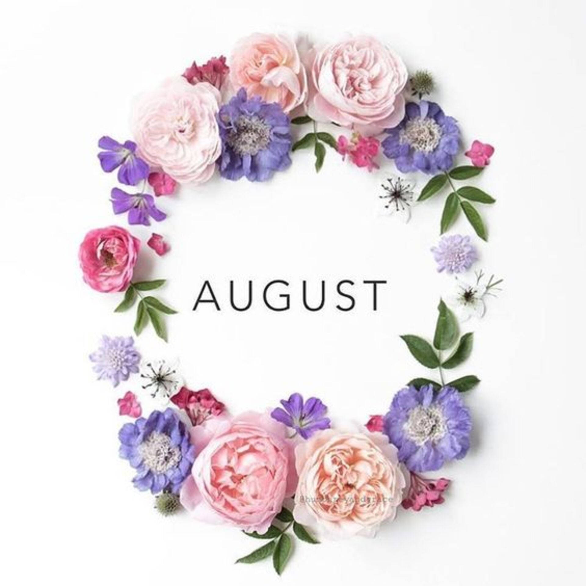 A beautiful flower wreath to welcome August Wallpaper
