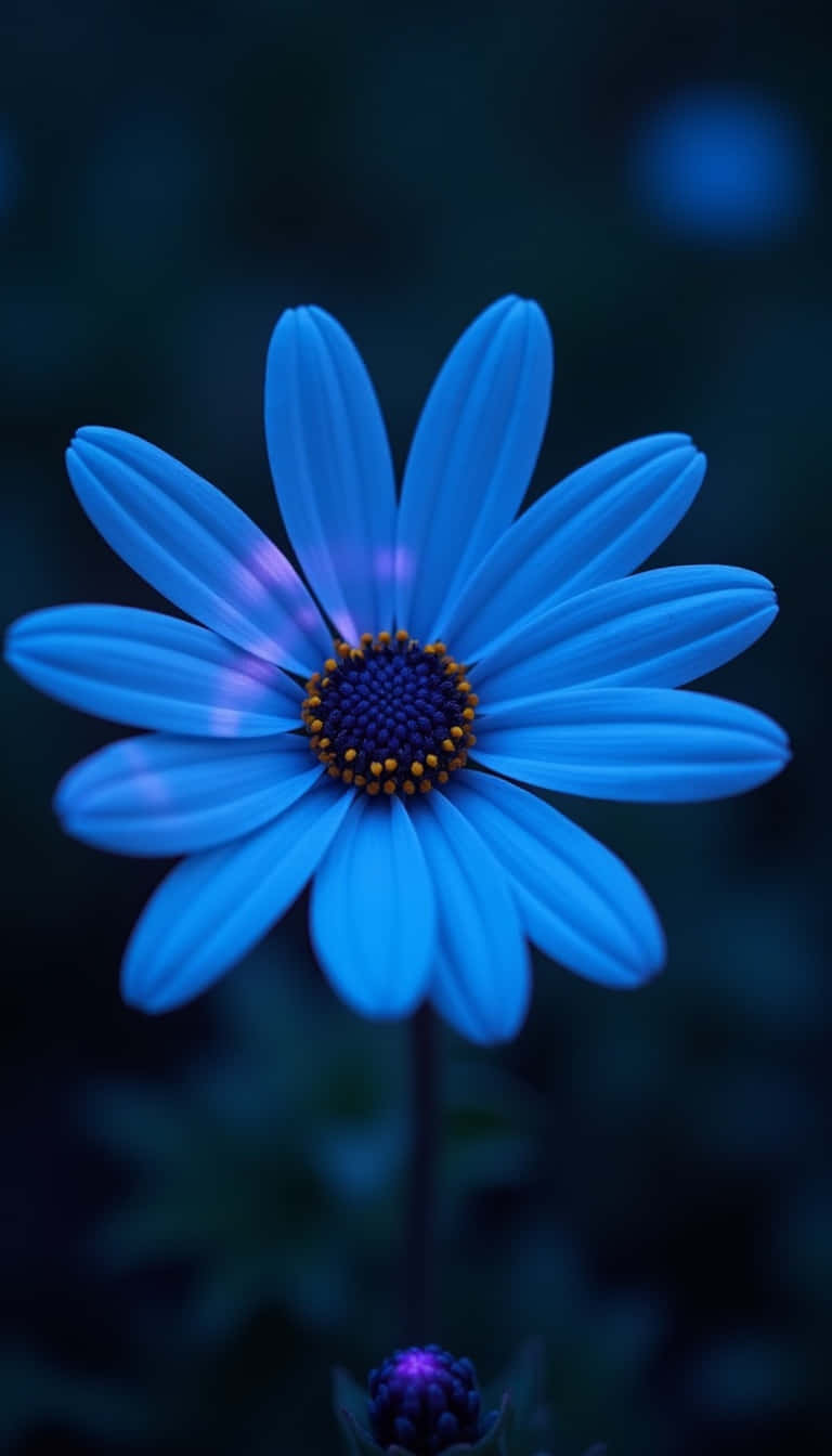 Flower Wallpaper
