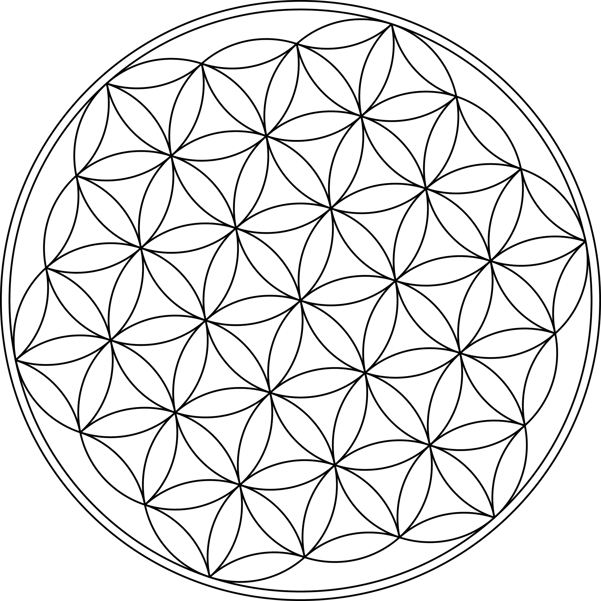 Flower_of_ Life_ Sacred_ Geometry_ Vector PNG