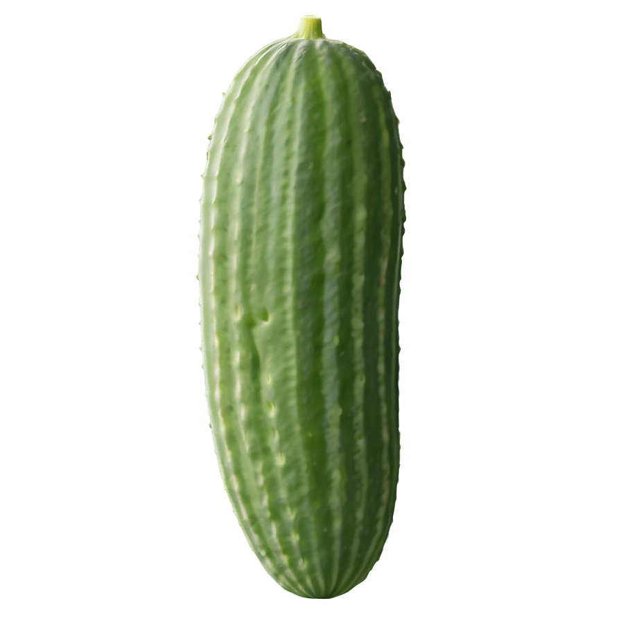 Flowering Cucumber Plant Png 87 PNG