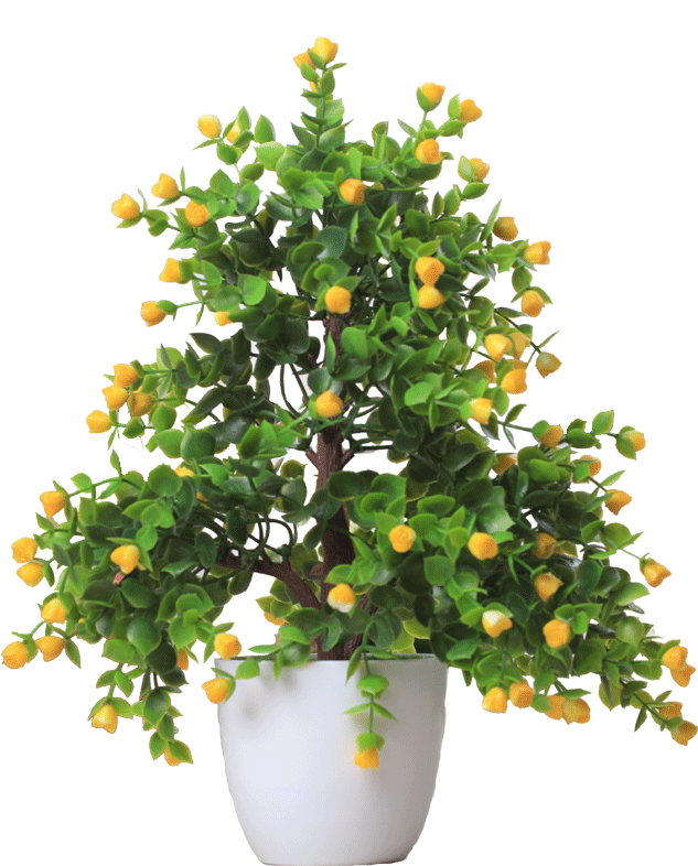 Flowering Plantin White Pot.png PNG