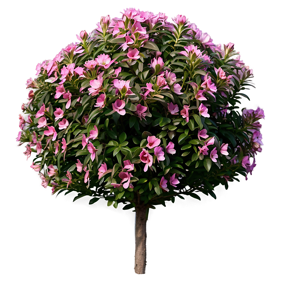 Flowering Shrub Png Fpr25 PNG