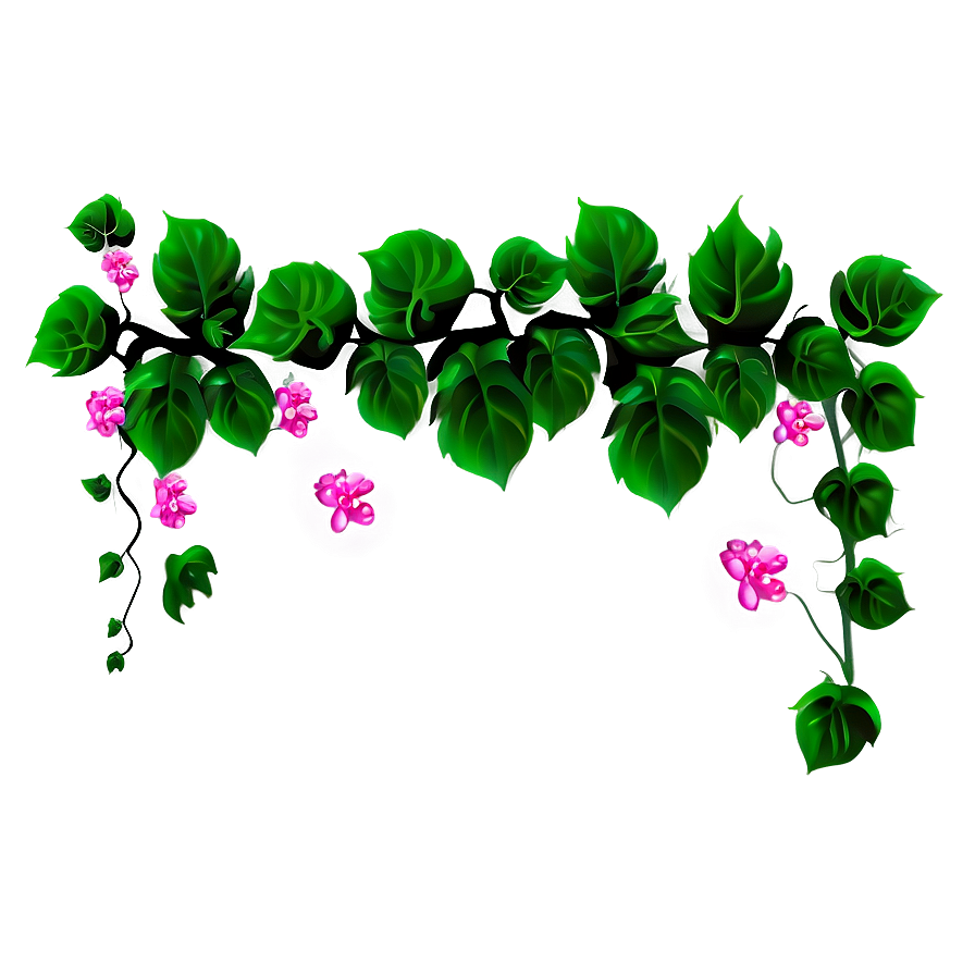 Flowering Vine Illustration PNG