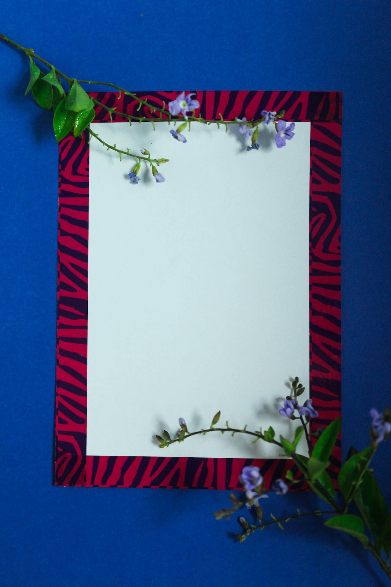 Flowers 4k And Frame Wallpaper
