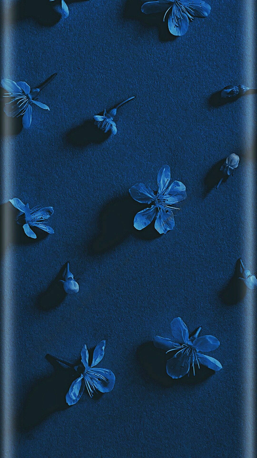 Floresestéticas Azul Oscuro Hd. Fondo de pantalla