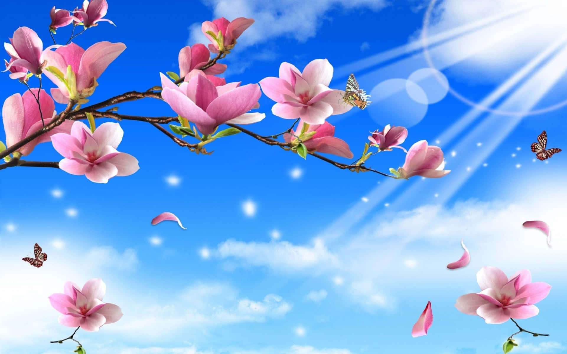Flowers And Butterflies Sunny Day Wallpaper