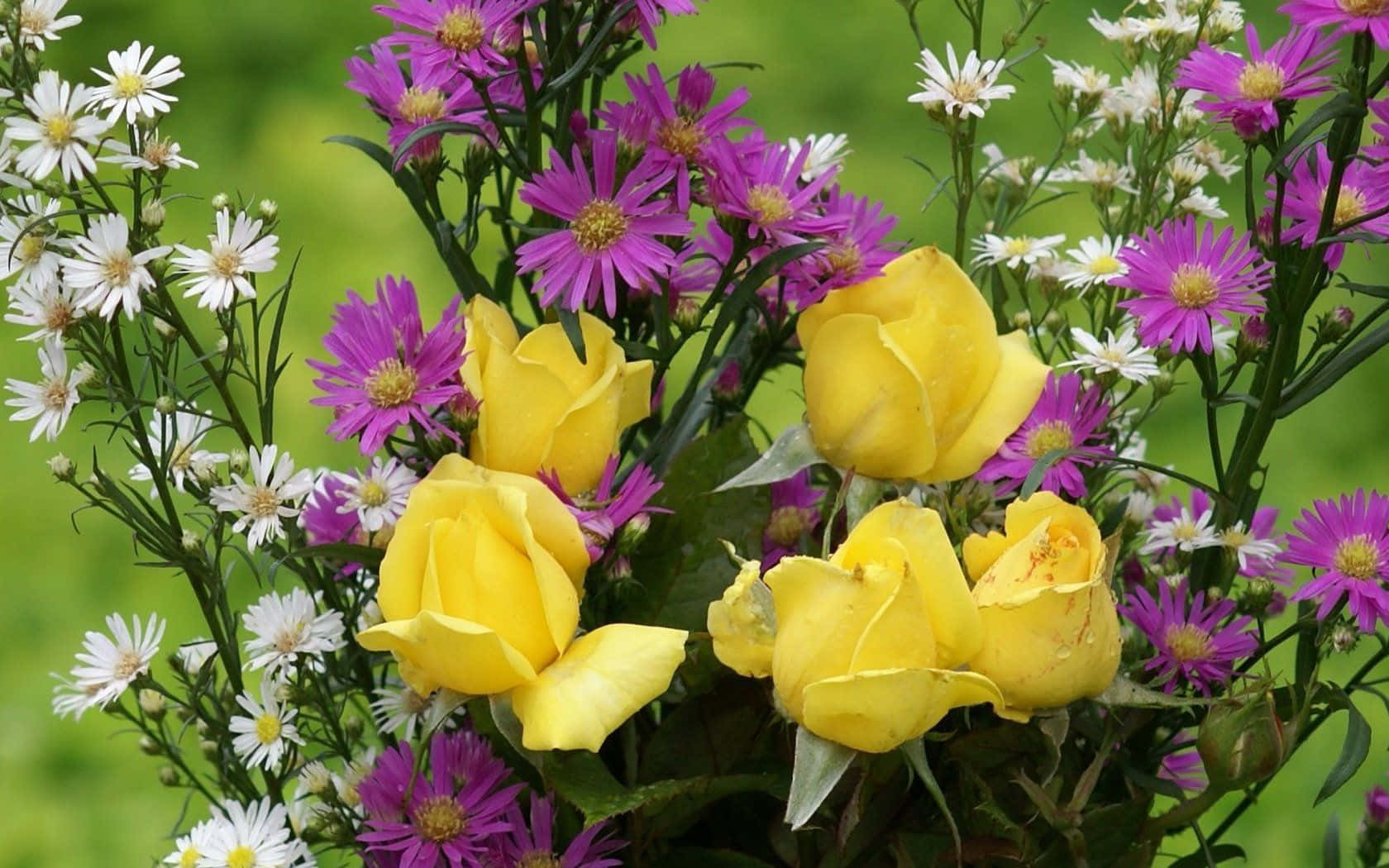 Gelberosen Und Lila Gänseblümchen In Einer Vase