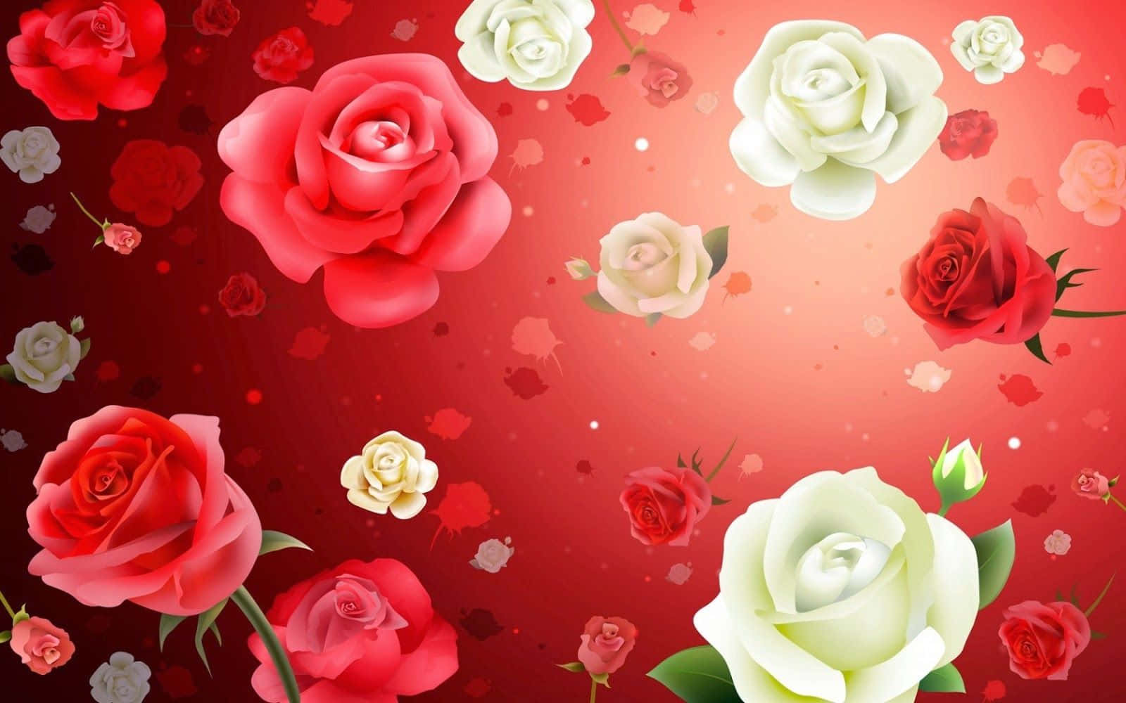 Unfondo De Pantalla De Rosas Rojas Y Blancas
