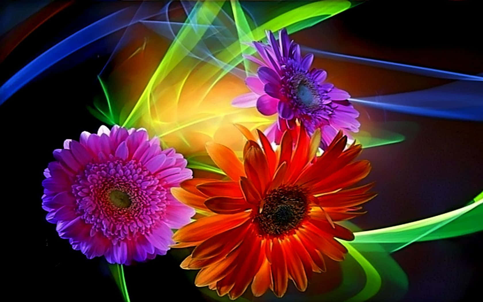 colorful flowers with colorful lights in the background