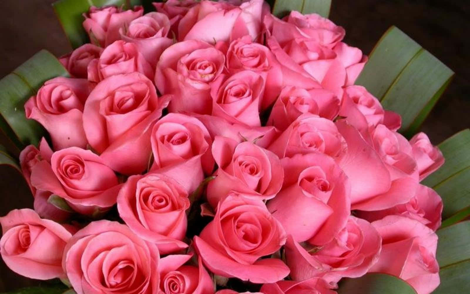 Fundode Bouquet De Flores De Rosa Rosa