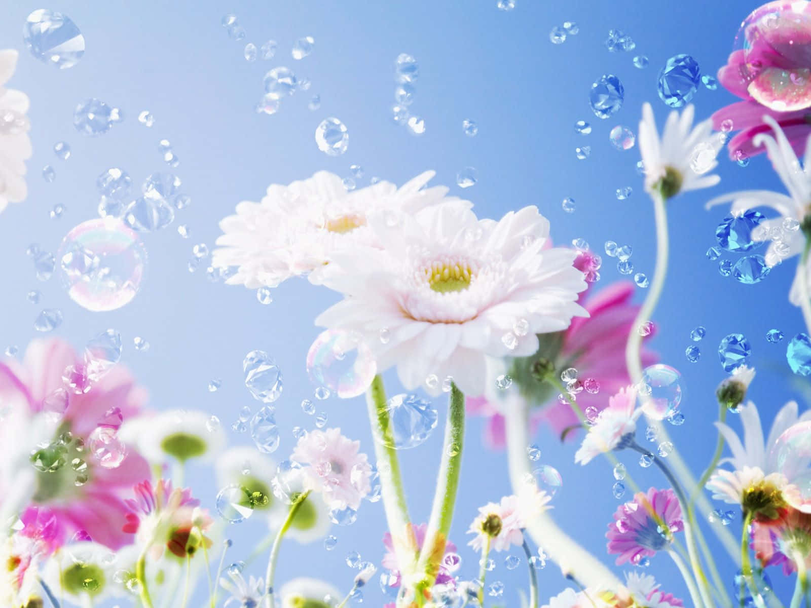 flowers and bubbles in the sky