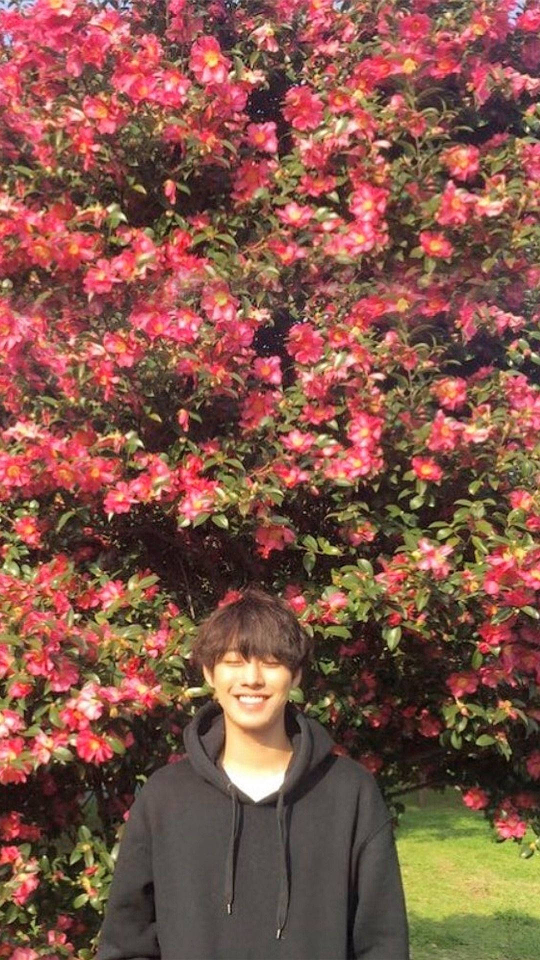 Blomster bag Ahn Hyo Seop's ansigt Wallpaper