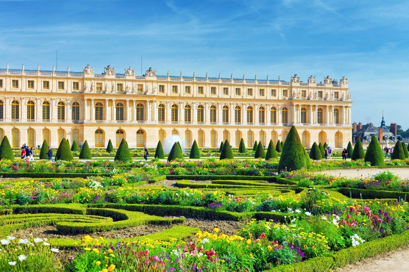 Flowers Blooming In The Gardens Of The Palace Of Versailles Picture