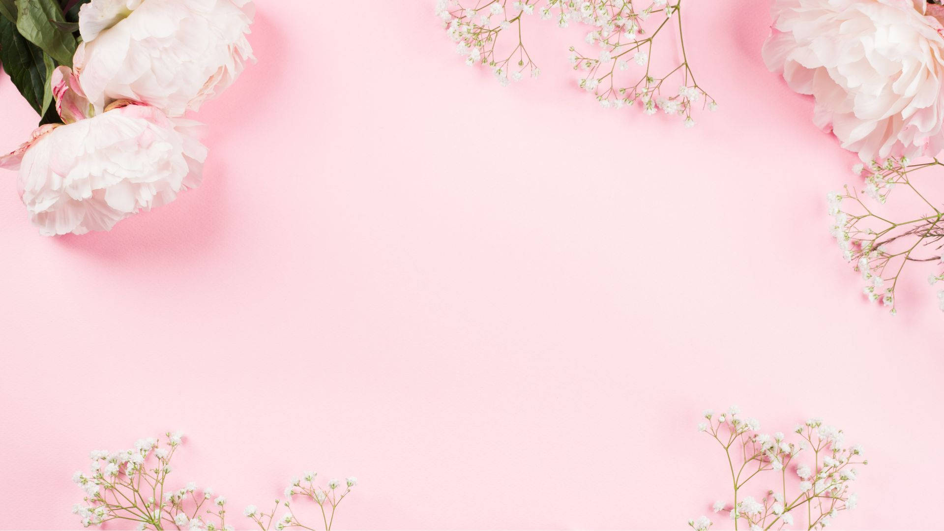 Download Flowers Flat Lay In Baby Pink Theme Wallpaper 