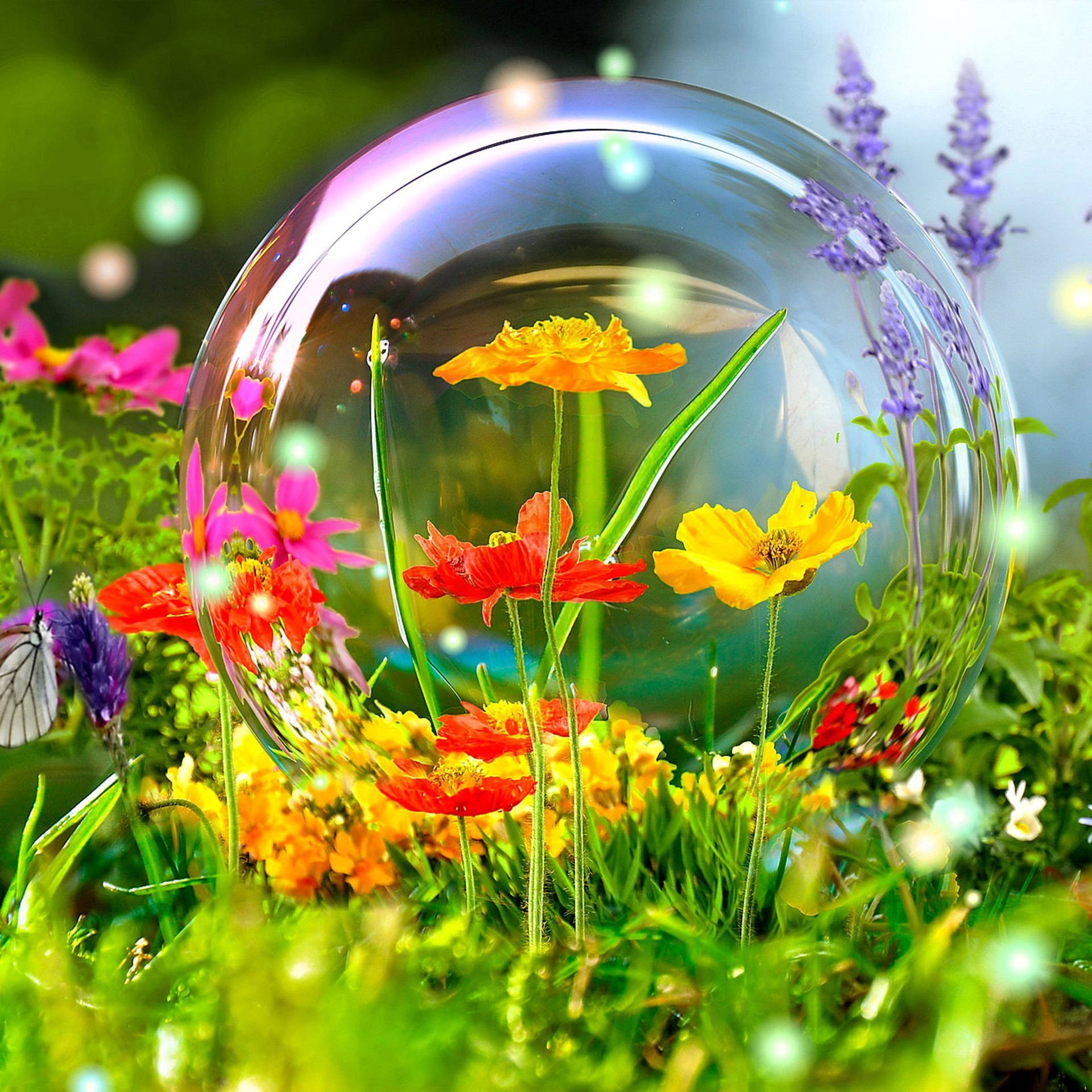 Flowers In A Bubble Nature Summer Screen Saver Wallpaper