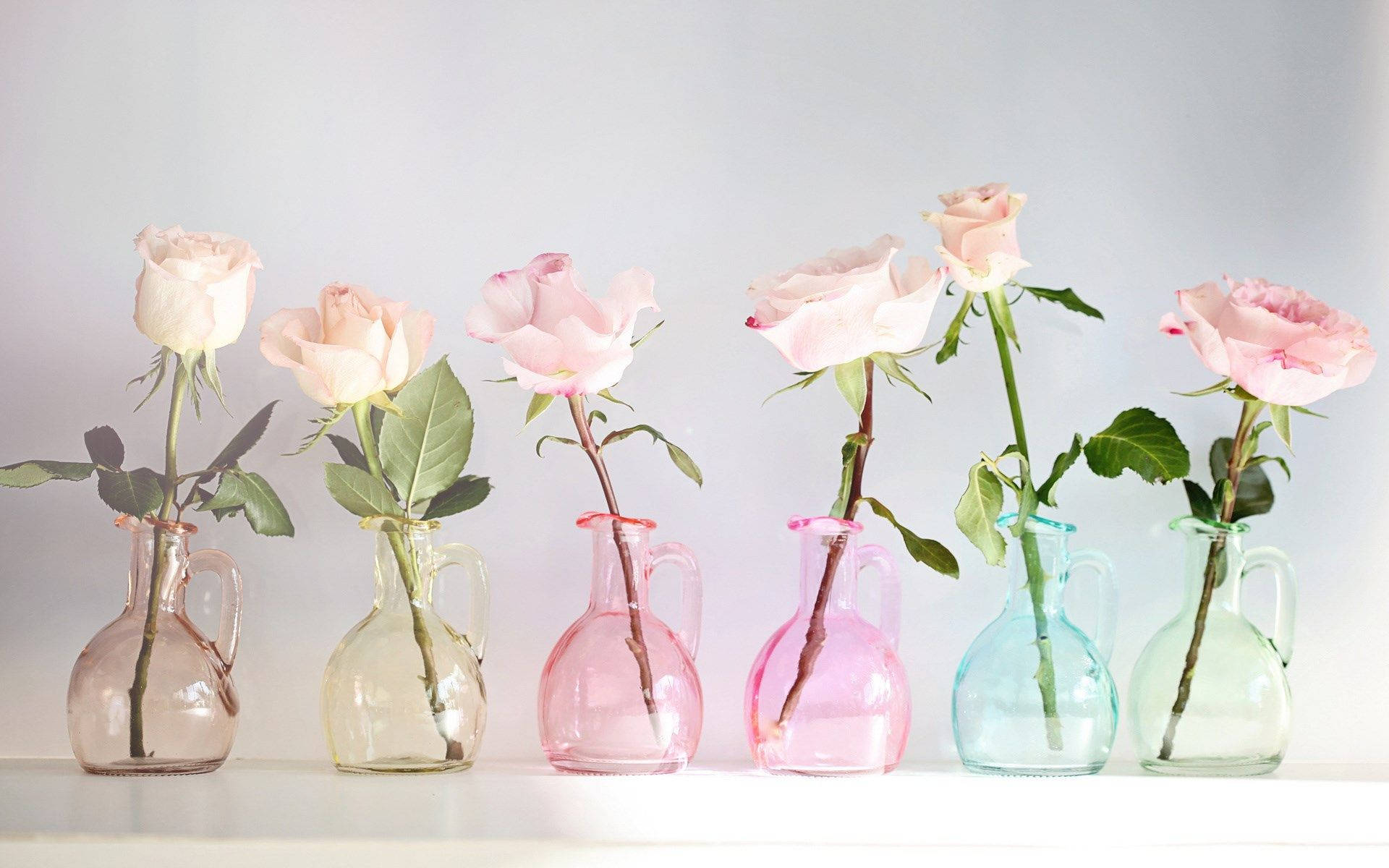 Flowers In Vase Floral Desktop Background