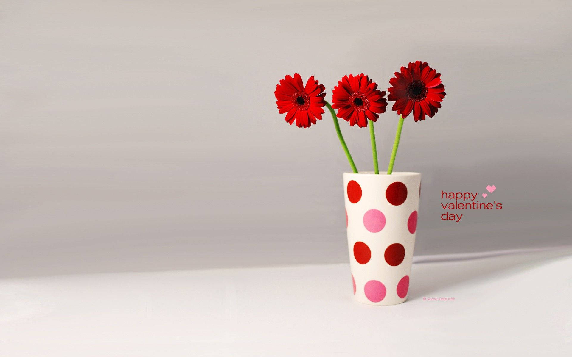 Blomster på prikkede vaser Valentins skrivebordsbaggrund Wallpaper