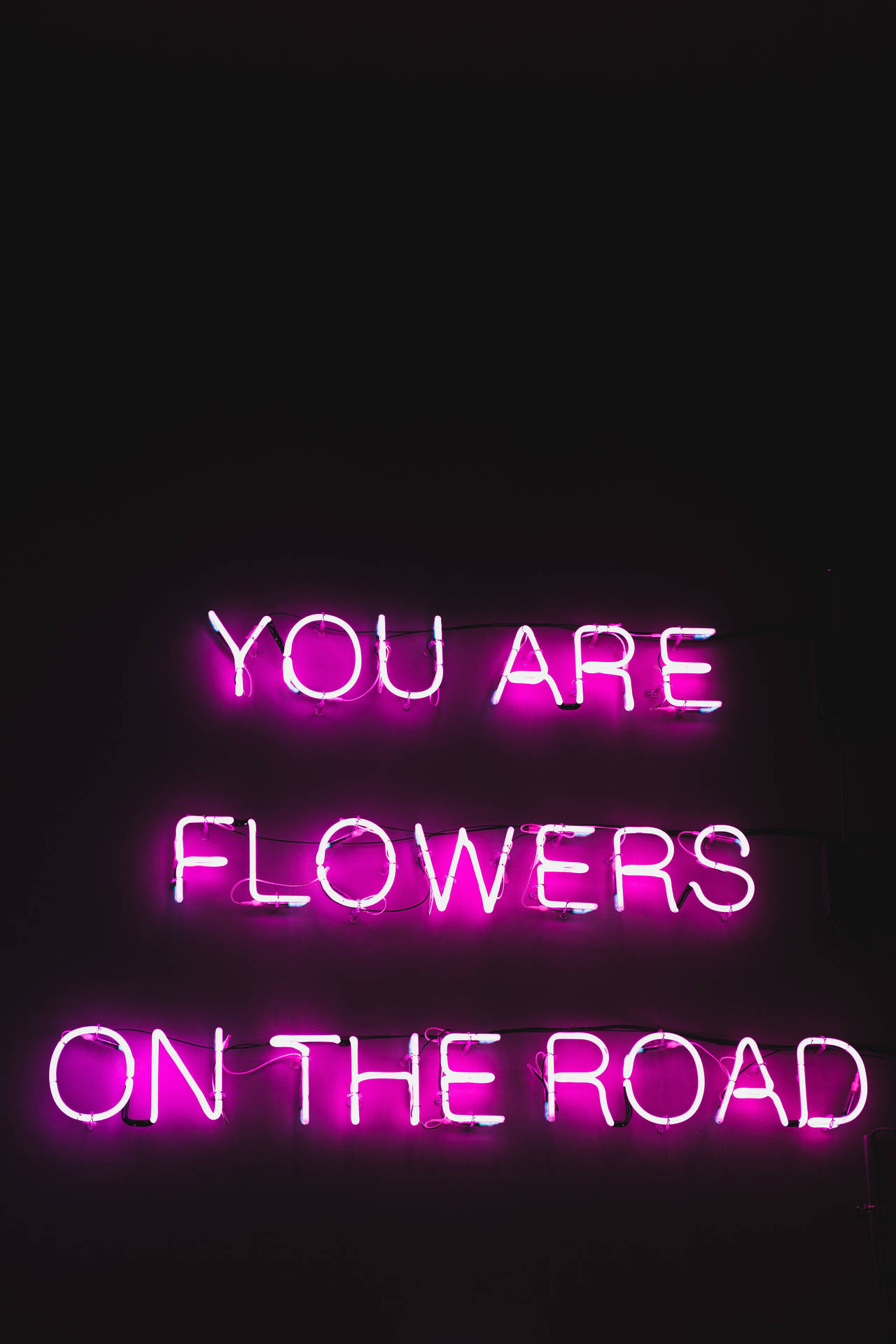 Blomster På Vejen Mørk Lilla iPhone Tapet Wallpaper