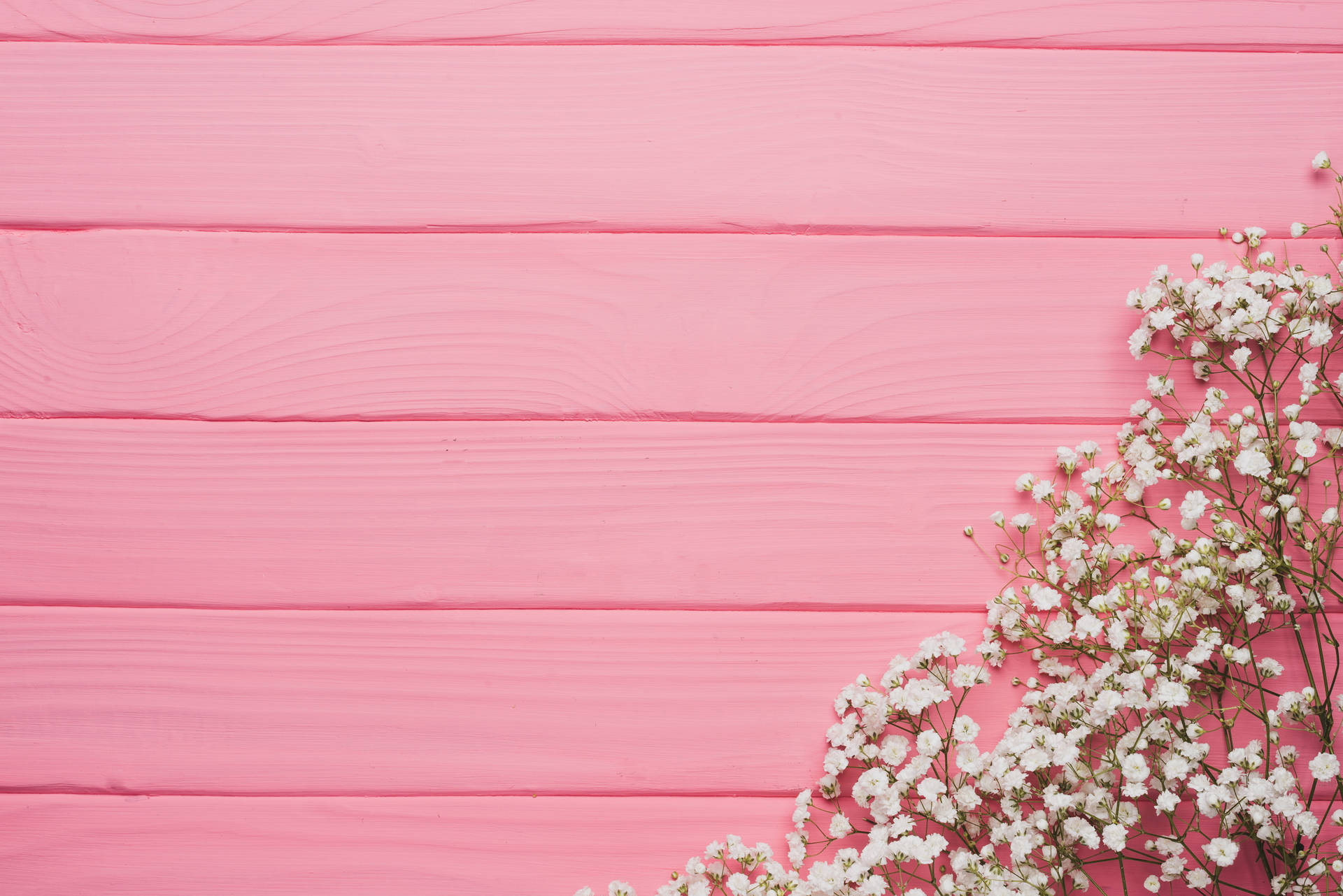 Flowers Pink Color Wooden Surface Wallpaper