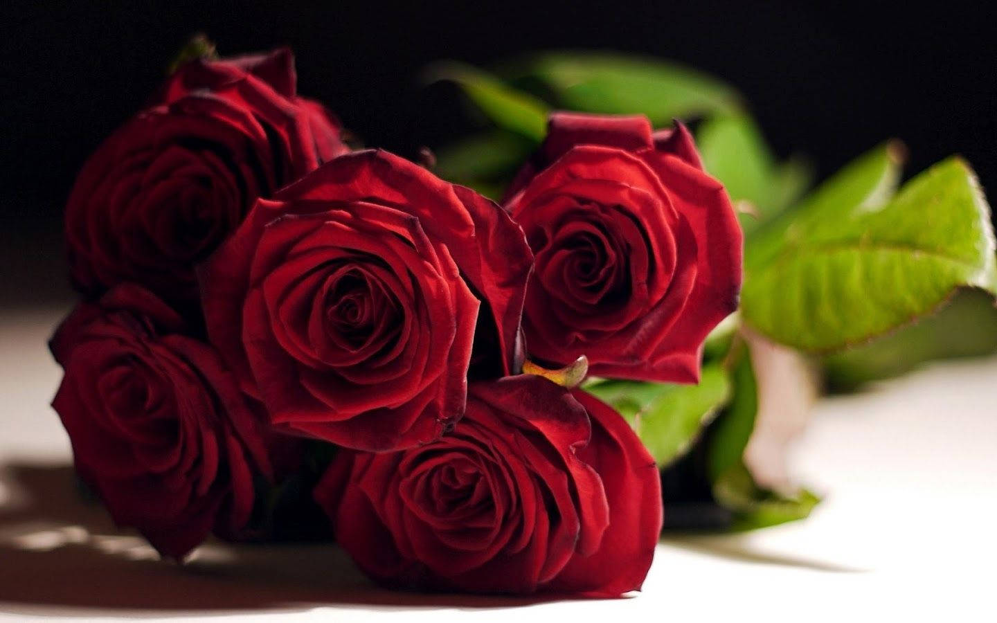 Flowers Red Rose Wallpaper - Awesome