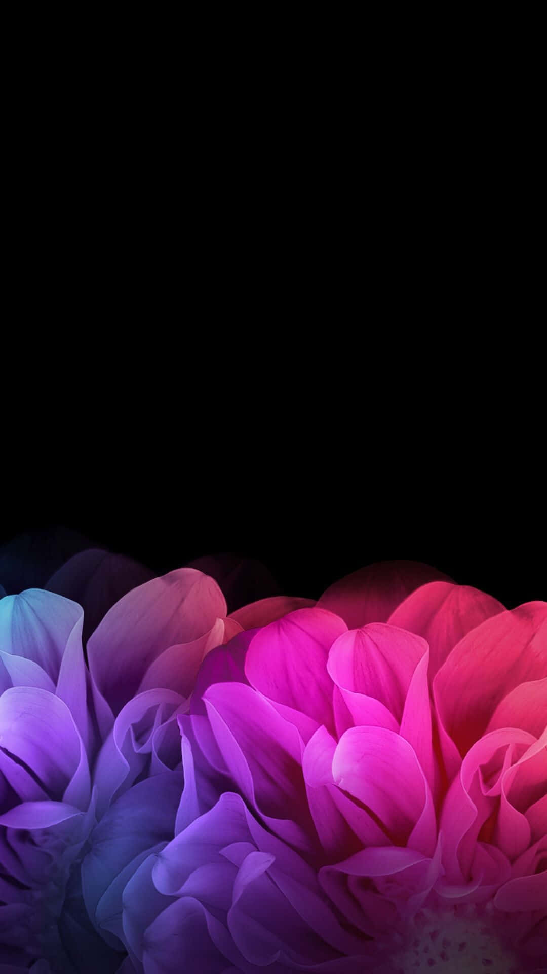 En sort baggrund med farverige blomster Wallpaper