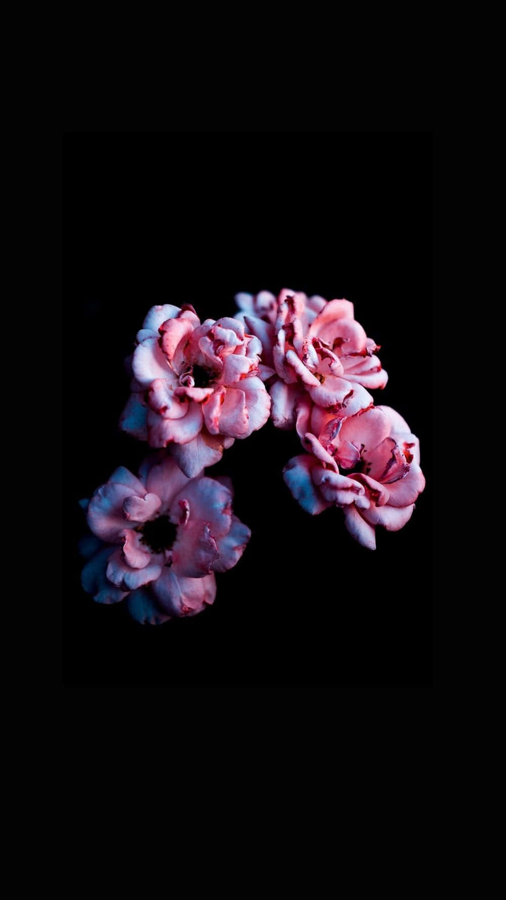 Delikat og Delightful: En Bouquet af Blomster med Mørke Accenter Wallpaper