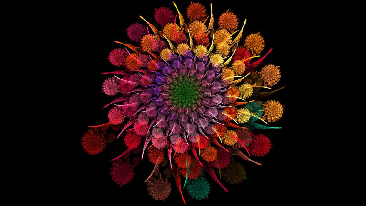 Flowers Wheel With Black Background Wallpaper