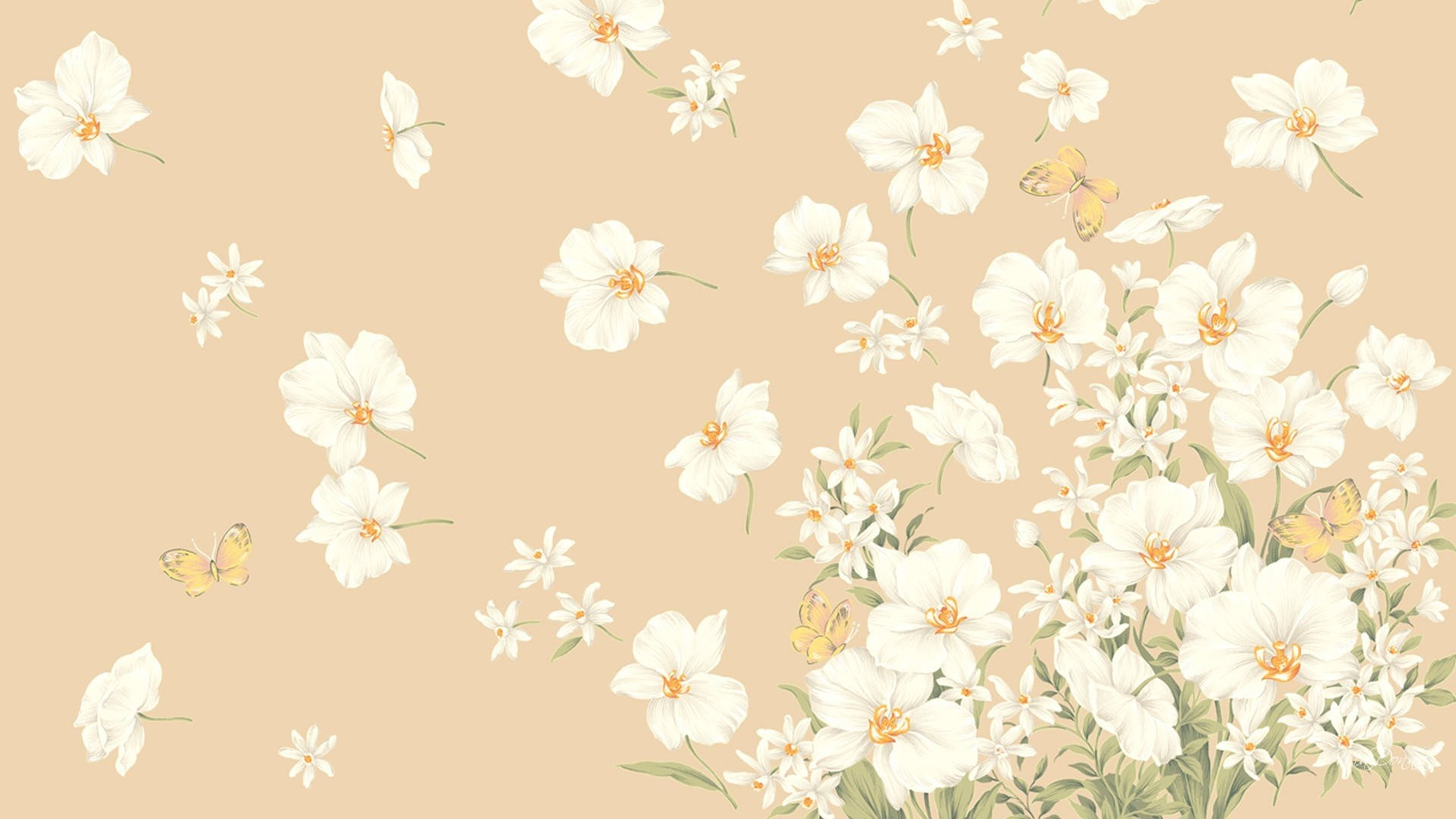 Flowery Beige Aesthetic Laptop Picture