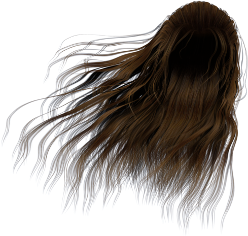 Flowing Brown Hair Illustration PNG