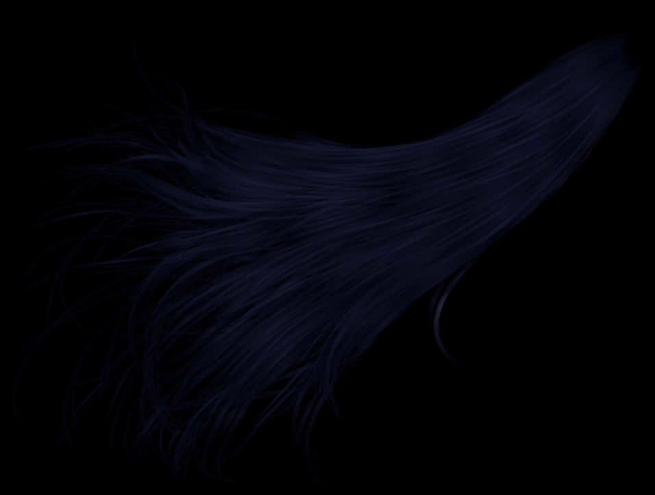 Flowing Dark Hairon Black Background PNG