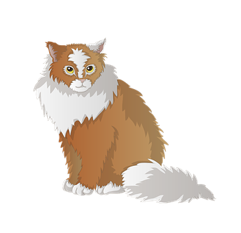 Fluffy Brown White Cat Illustration PNG