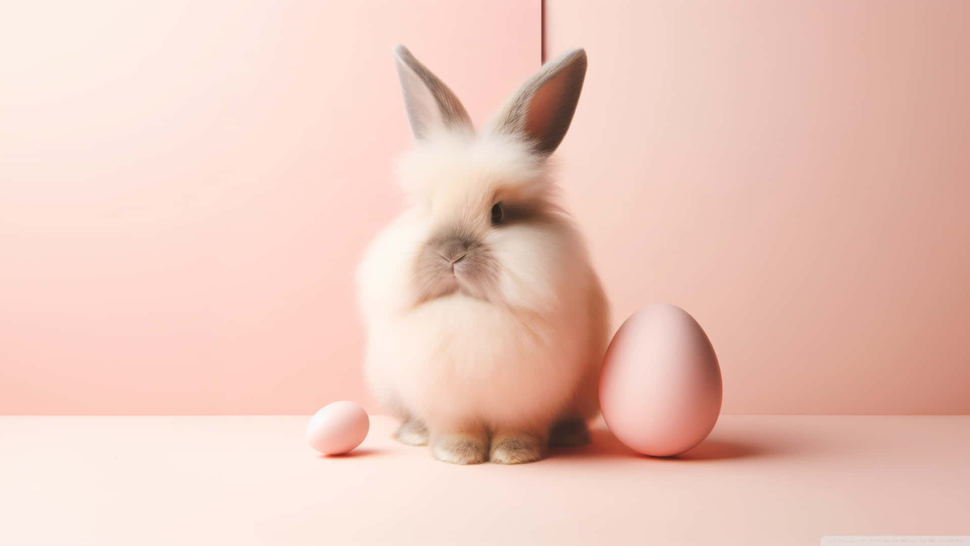 Fluffy Bunnyand Easter Eggs Wallpaper