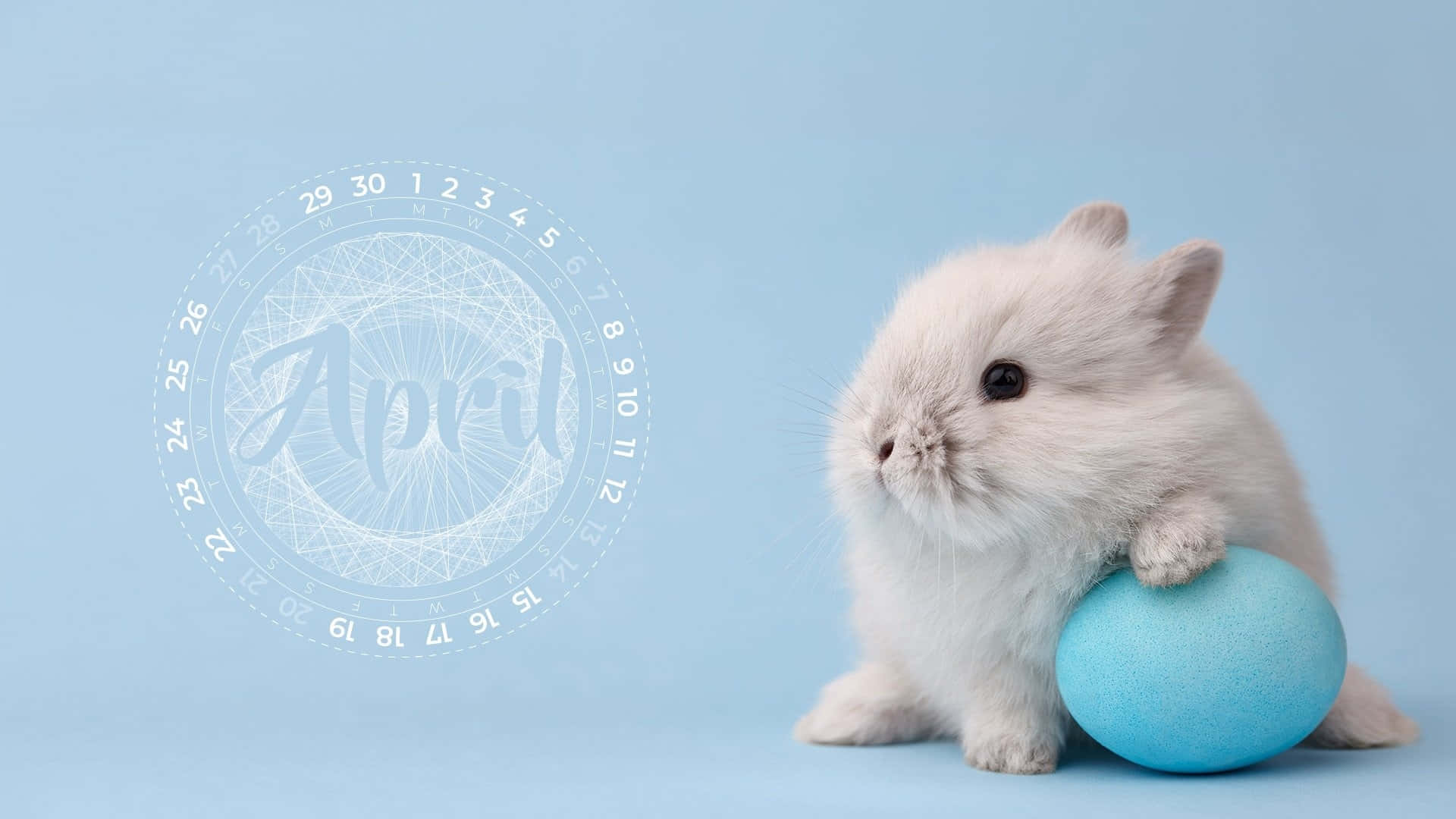 Fluffy Bunnywith April Egg Wallpaper