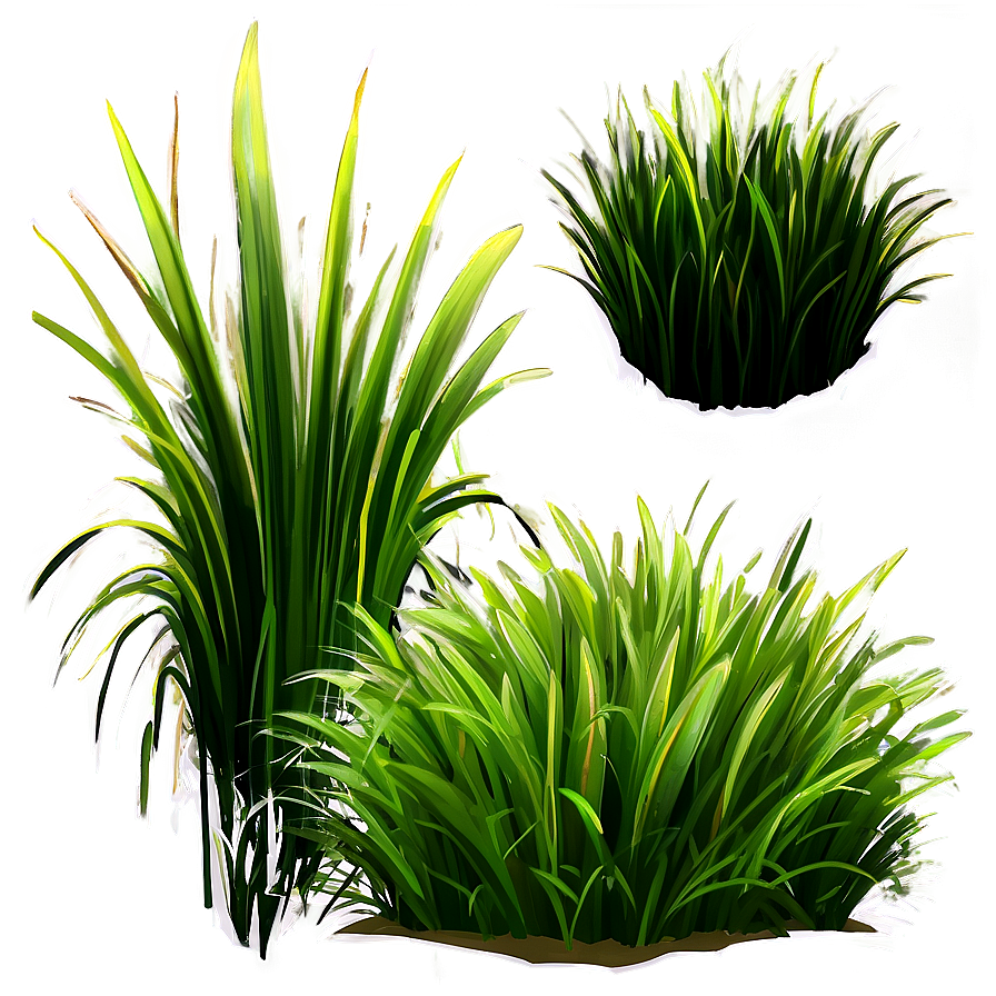 Fluffy Cartoon Grass Png 06122024 PNG
