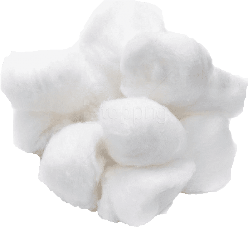 Fluffy Cotton Boll PNG