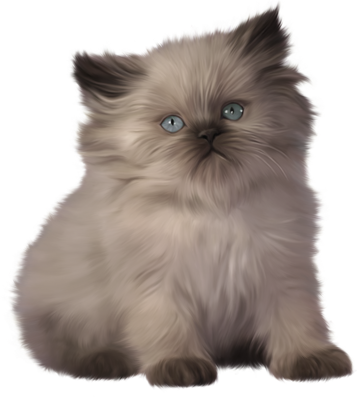 Fluffy Gray Kitten Illustration PNG