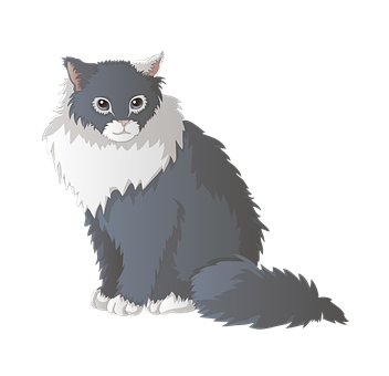 Fluffy Grayand White Cat Illustration PNG