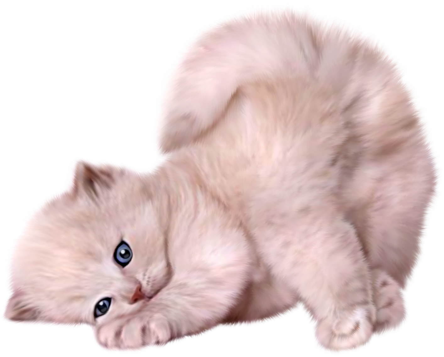 Fluffy Kitten Lying Down PNG