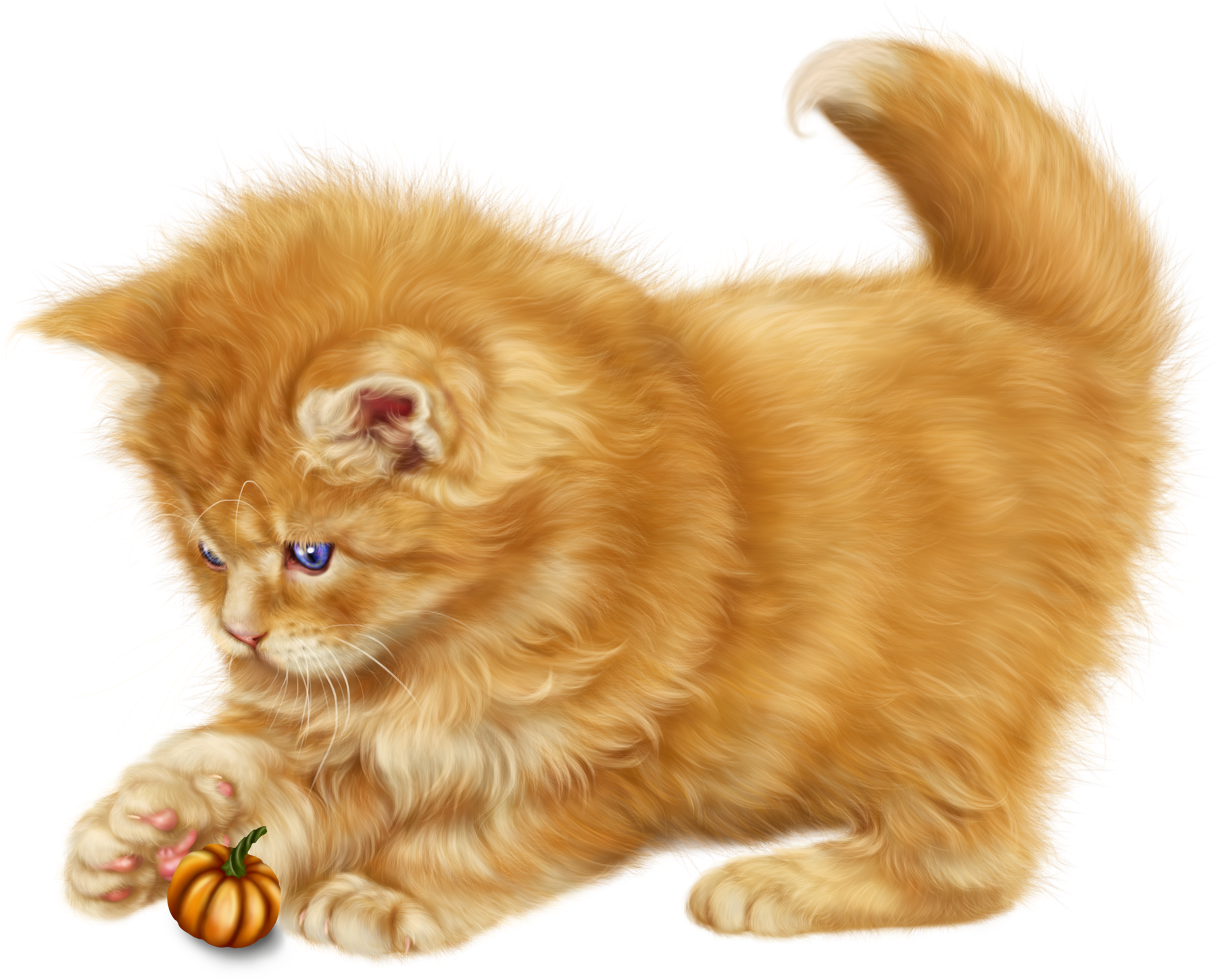Fluffy Orange Kitten Playing PNG