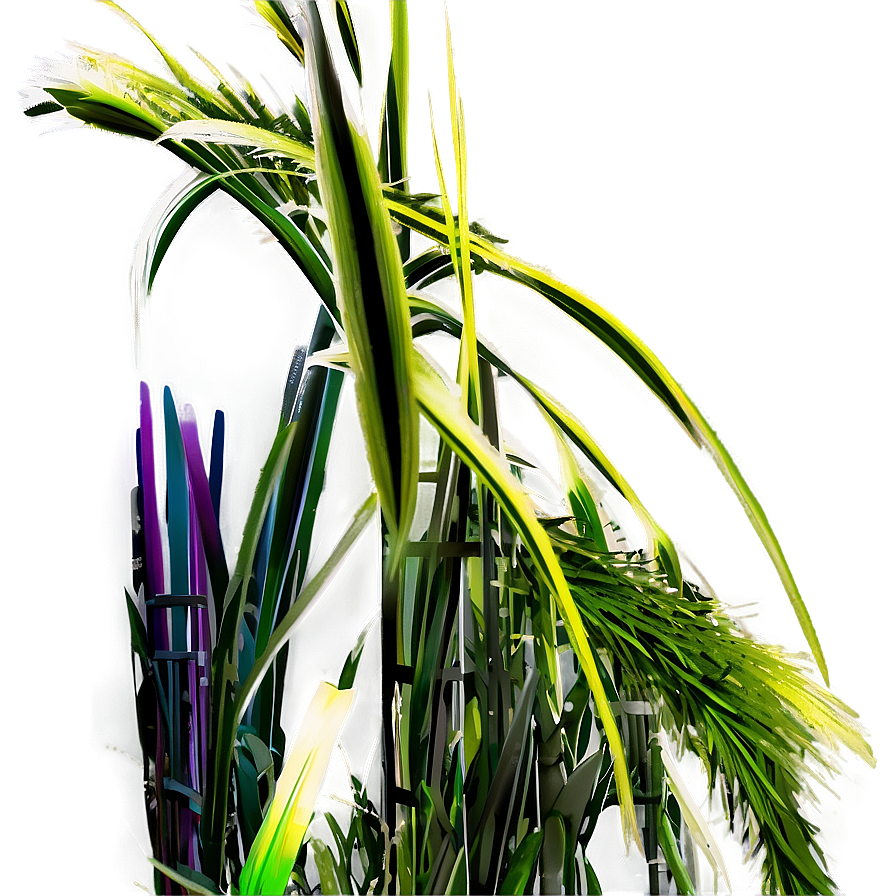 Fluffy Ornamental Grass Png Eow PNG