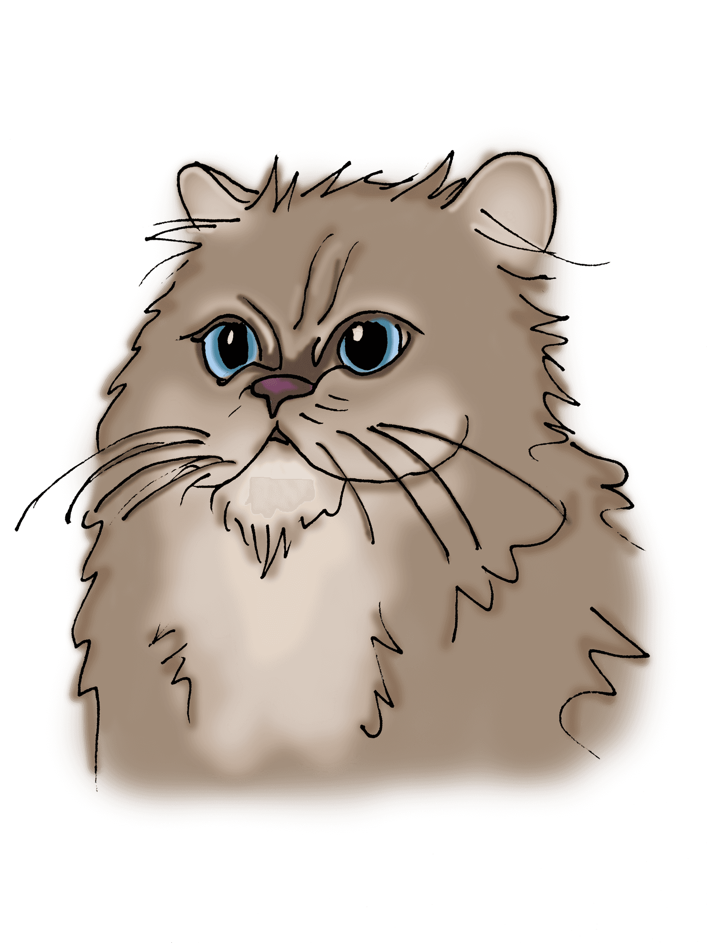 Fluffy Persian Cat Illustration PNG