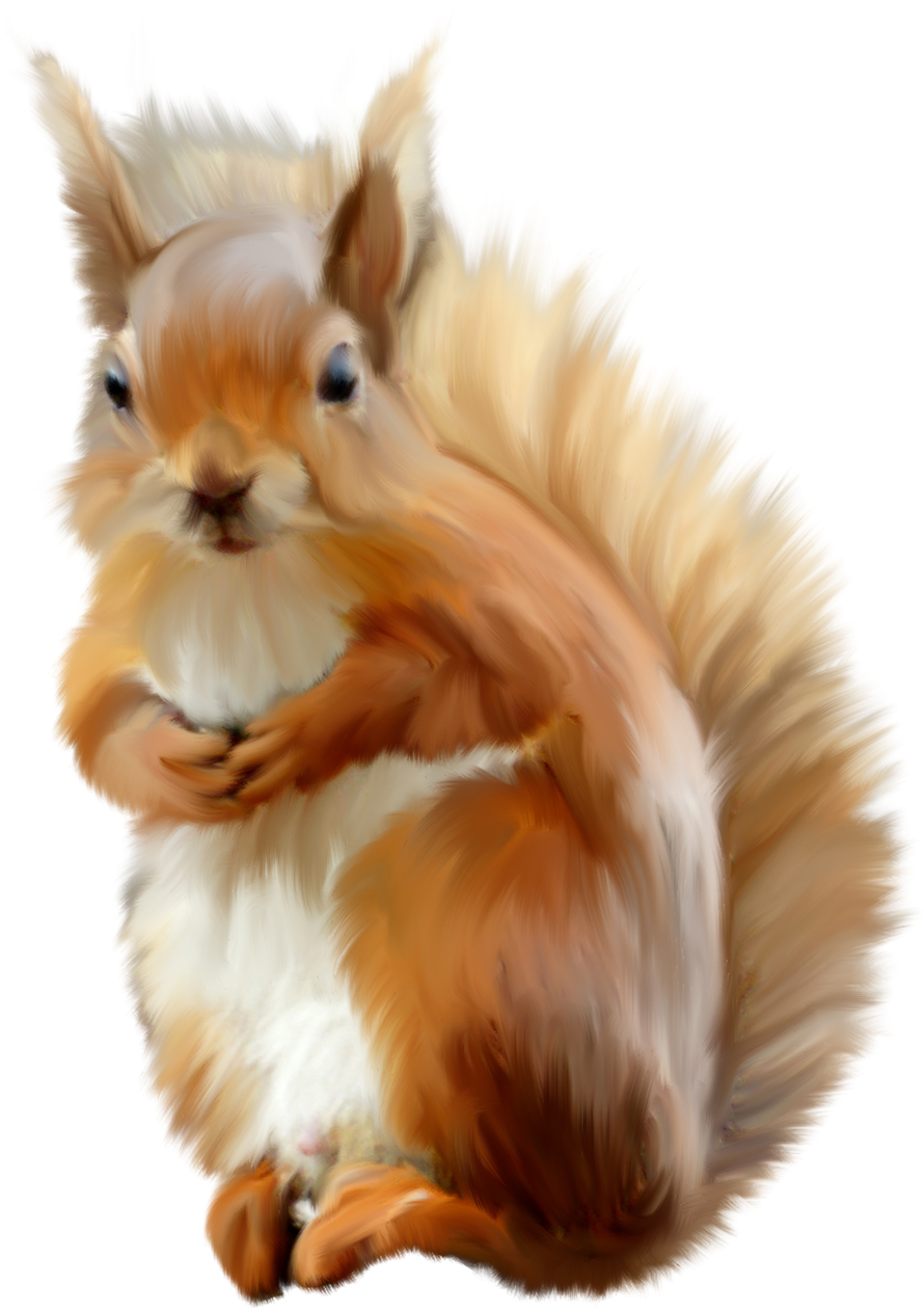 Fluffy Red Squirrel Artwork PNG