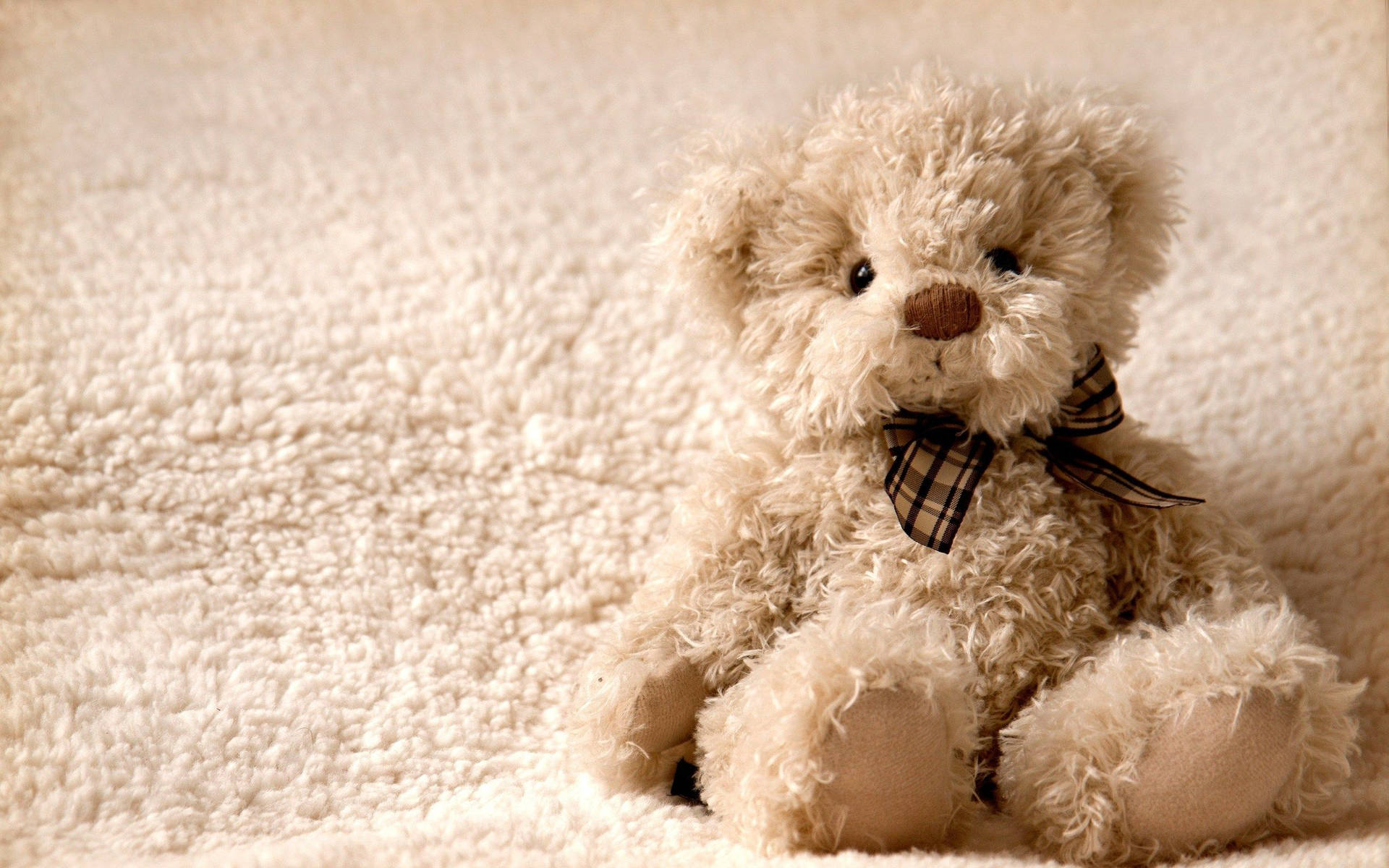 Fluffy Teddy Bear Wallpaper