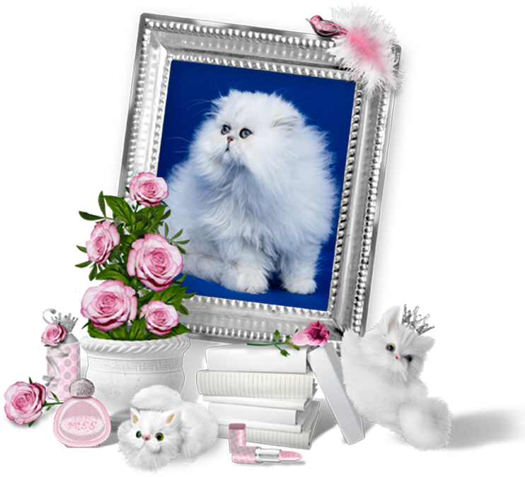 Fluffy White Cat Framedwith Pink Rosesand Accessories PNG