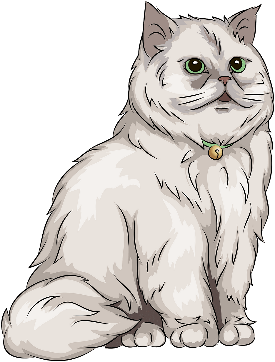 Fluffy White Cat Illustration PNG