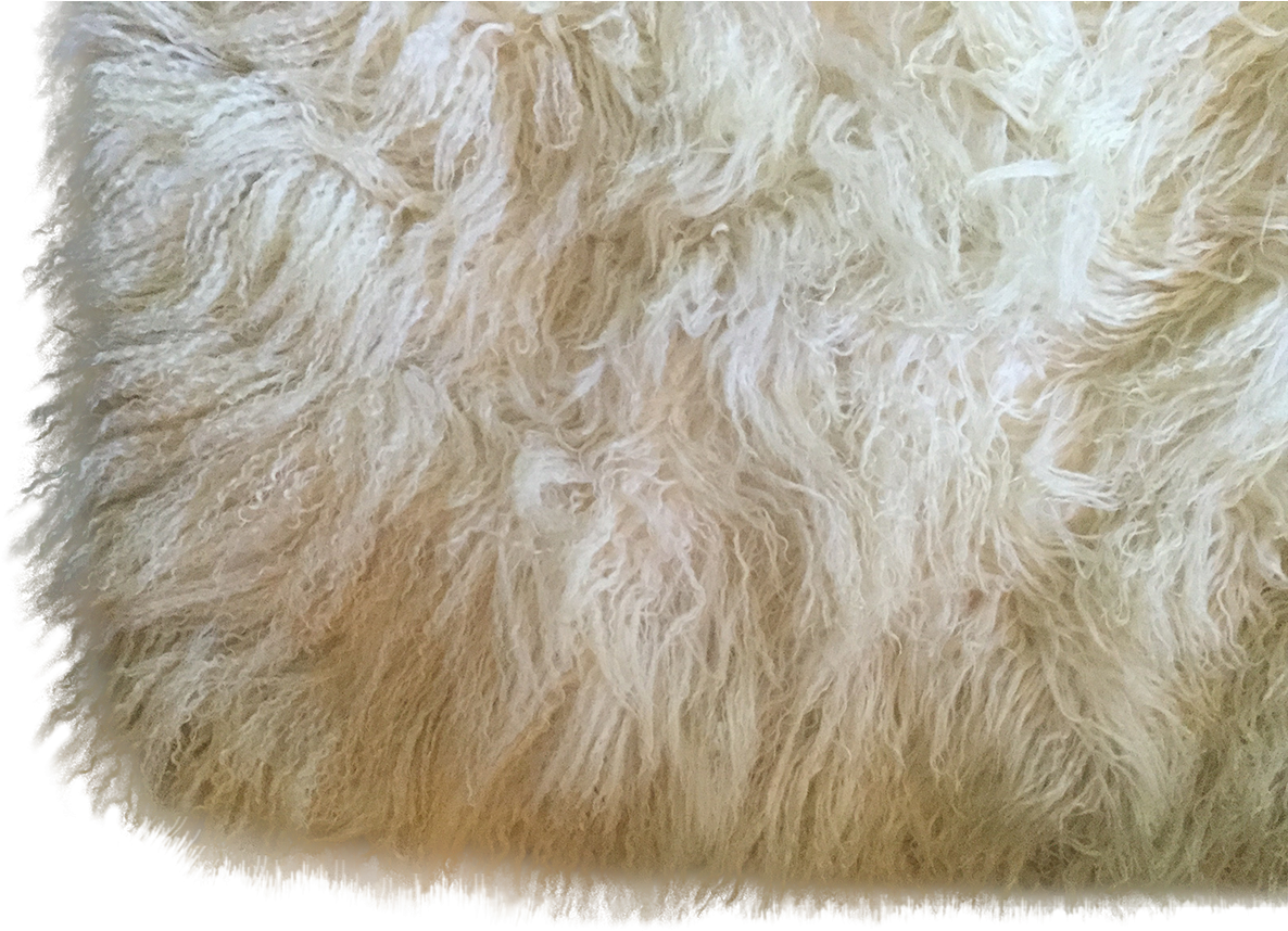 Fluffy White Fur Texture PNG