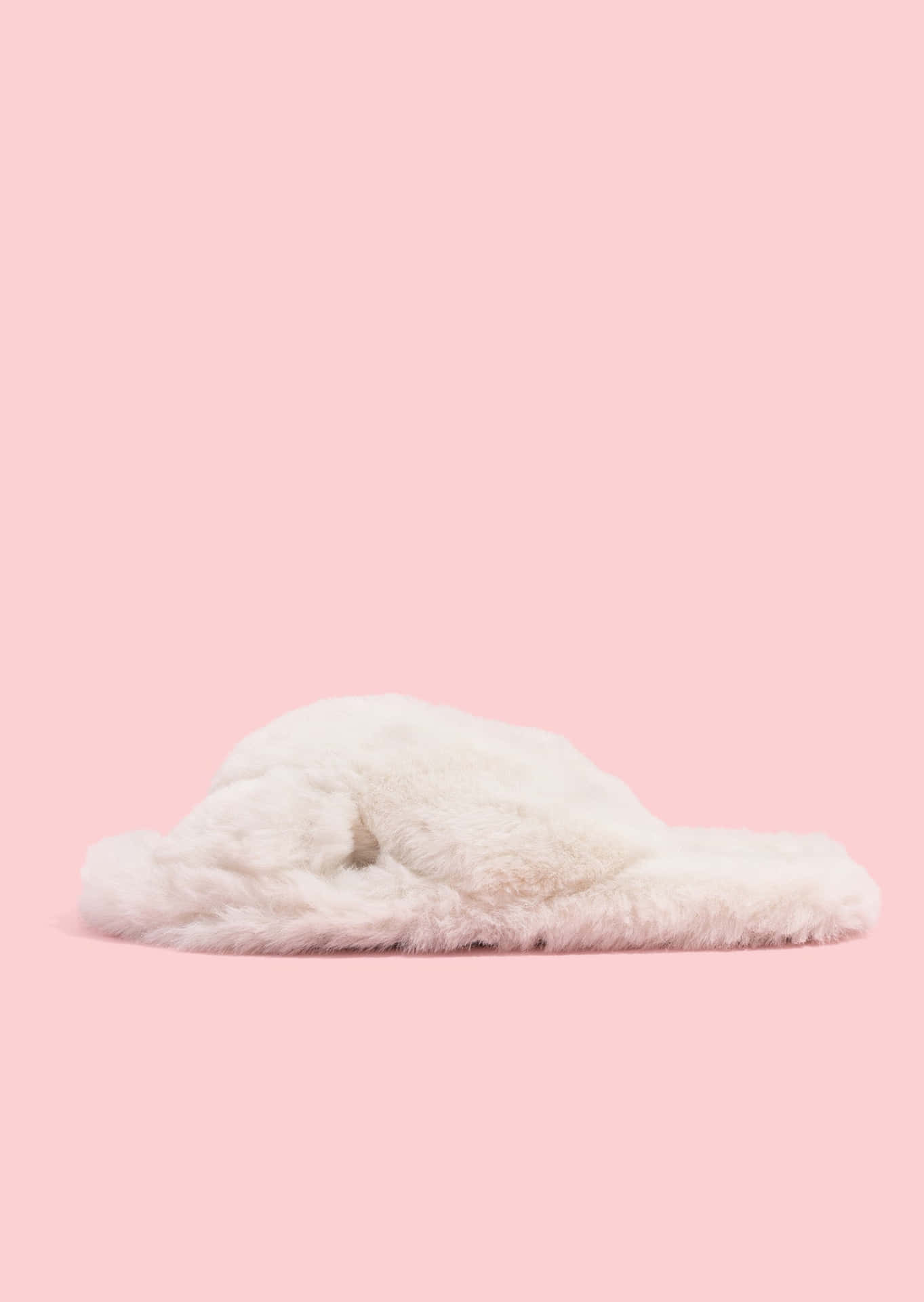Fluffy White Slipperon Pink Background.jpg Wallpaper